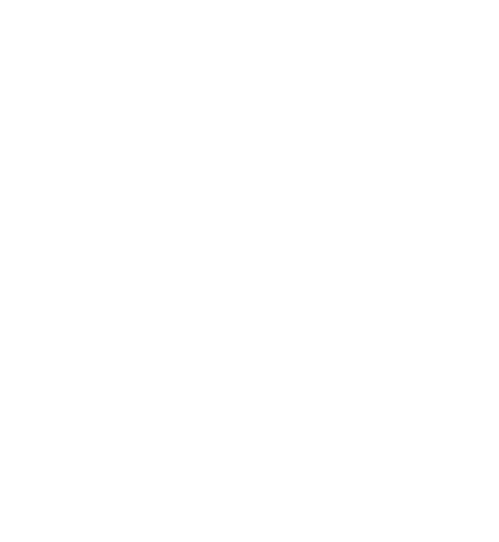 Rauw is porc tastic beefy licious streetfood & bbq with a twist